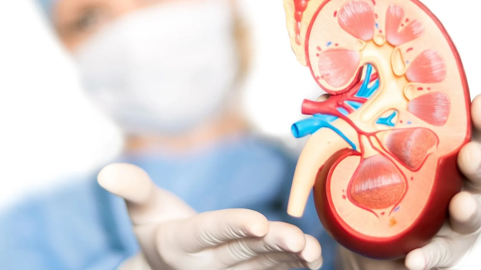 ¿Qué especialista trata la hiperplasia prostática?