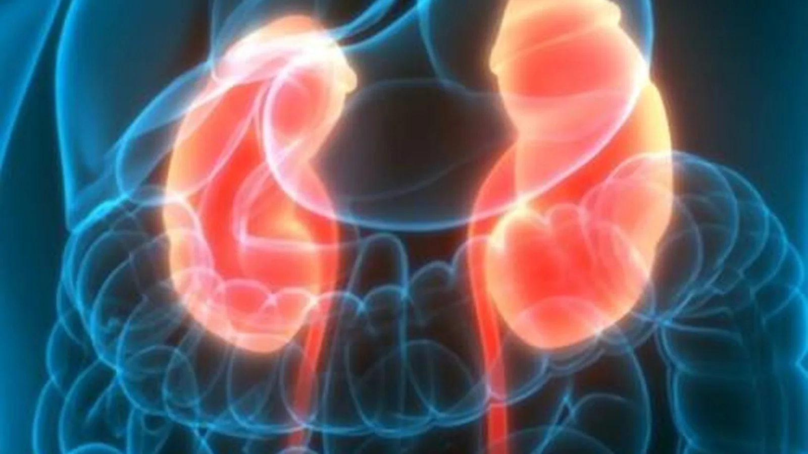 Infección urinaria en Monterrey: Atención integral para su salud urológica